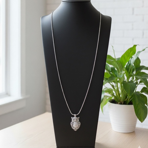 Jewelry - Silver Owl Pendant Necklace